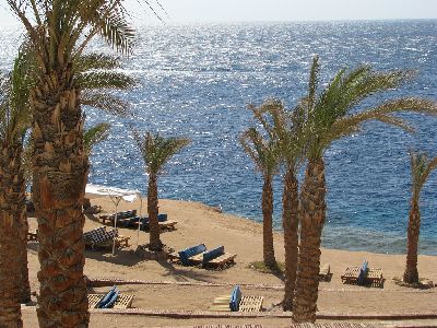 Golful Rechinilor, Sharm el Sheikh