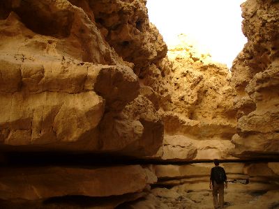 Parcul National Wadi Degla