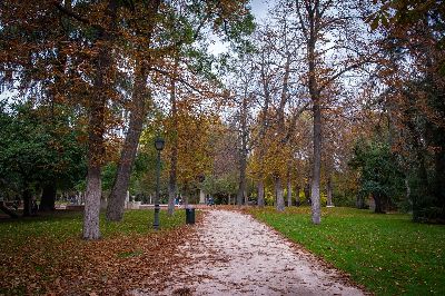 Parcul Retiro din Madrid